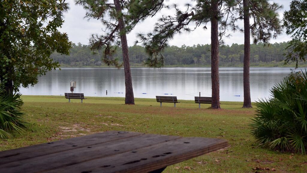 Camel Lake